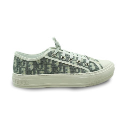 Dior Walk'n'Dior Low Top Grey Canvas