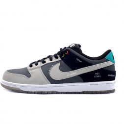 Nike Dunk Low VX1000