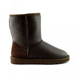 Men's Metallic Chocolate