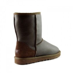 Men's Metallic Chocolate