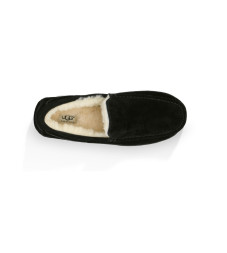 Men's Ascot Black