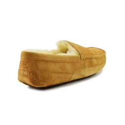 Men's Ascot Chestnut