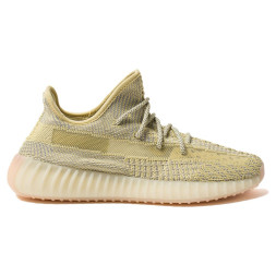 Adidas Yeezy Boost 350 V2 Antlia Reflective