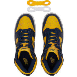 Nike Dunk Nike High Michigan (2020)