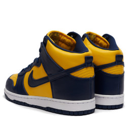 Nike Dunk Nike High Michigan (2020)