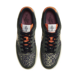 Nike Dunk Low Rainbow Trout