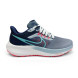 Мужские кроссовки Nike Air Zoom Pegasus 39 Man Grey Blue