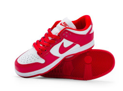 Nike Dunk Low Red Paisley
