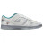 Nike Dunk Low Ice